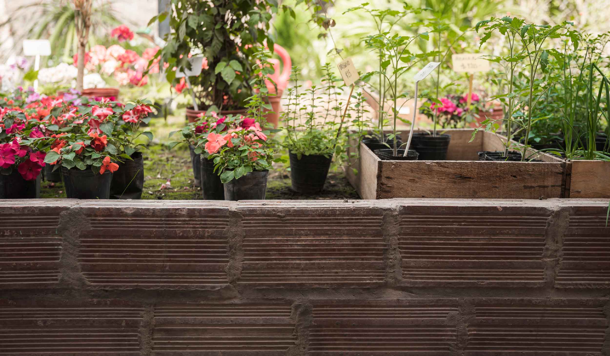 Terrace Garden